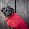 Red Drying Coat - Labrador